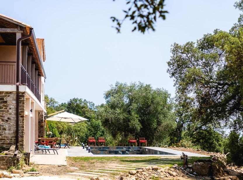 Grande Villa 750 M2 Le Mas Des Chenes Bormes-les-Mimosas Luaran gambar