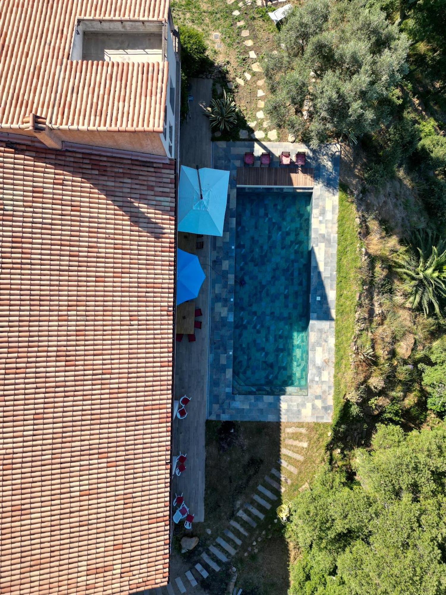 Grande Villa 750 M2 Le Mas Des Chenes Bormes-les-Mimosas Luaran gambar